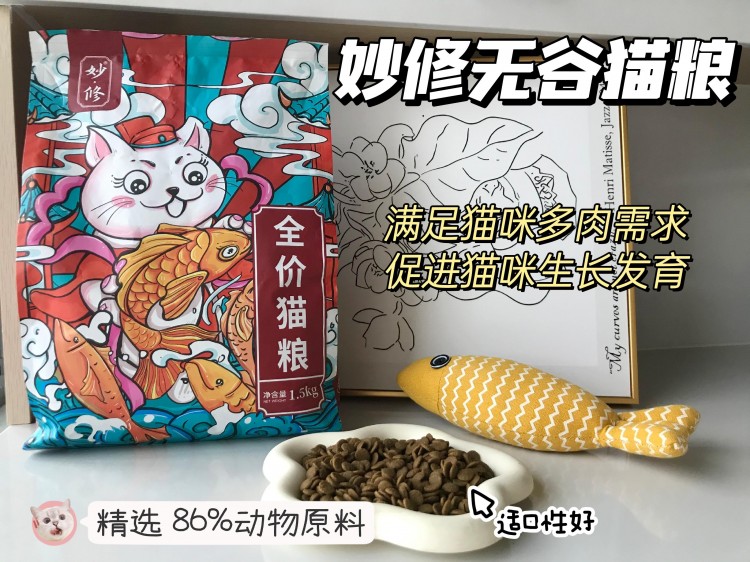 过来人的警告：做不到这8点请别养猫！