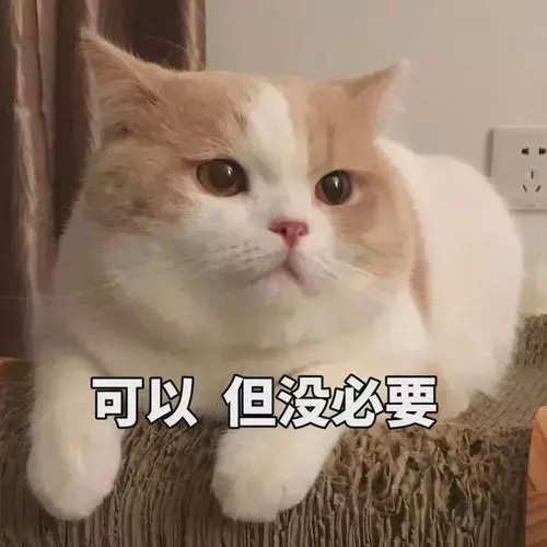 猫咪和纸箱的爱恨情仇！