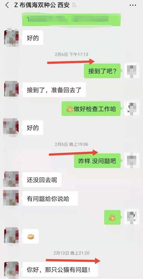 有藓蛋蛋过小配不了种花一万多买这猫有啥用