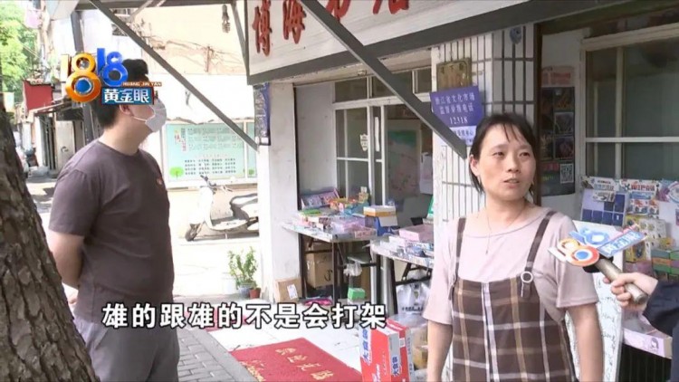 博美眼球差点没保住狗打架变人打架